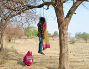 53257509_godhra-love-bird-suicide