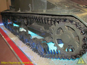 IMG-7333
