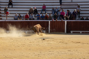 IMG-0395