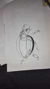 IMG-20240229-183848471