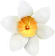 Yk-Easter-is-Coming-20