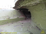 IMG-3264
