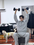 wulei dog 008GJKcxgy1ibdp6vja6cj30qo0zkjuk