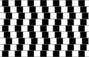 [Image: 2880px-Caf-wall-svg.png]