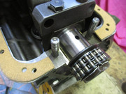 IMG-5040.jpg