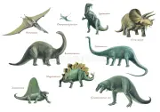 https://i.postimg.cc/qNY4NhqF/prehistoric-animal-montage-featuring-pteranodon-rhamphorhynchus-iguanodon-triceratops-brontosaurus-d.webp
