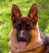 [Image: Ja-ka-2.jpg]