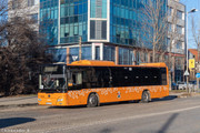 IMG-5481