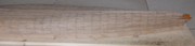 https://i.postimg.cc/qNjktQD1/2024-10-24-2.png