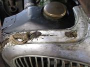 IMG-2860.jpg
