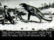 https://i.postimg.cc/qNr9rjBY/1308805076-19.jpg