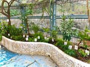 photo-20211123-iherbalgarden-028