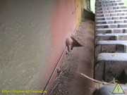 IMG-6641