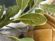 CD6C6B33-B61F-4BA0-8AAF-2A30050E2D2D