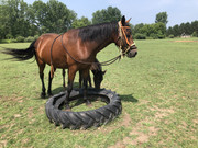 831E467F-BD7D-4B68-90F3-C3EB7BD1BF66