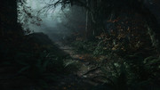 Alan-Wake2-2026-06-06-16-24-58-996