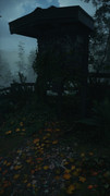 Alan-Wake2-2026-06-06-16-20-49-390