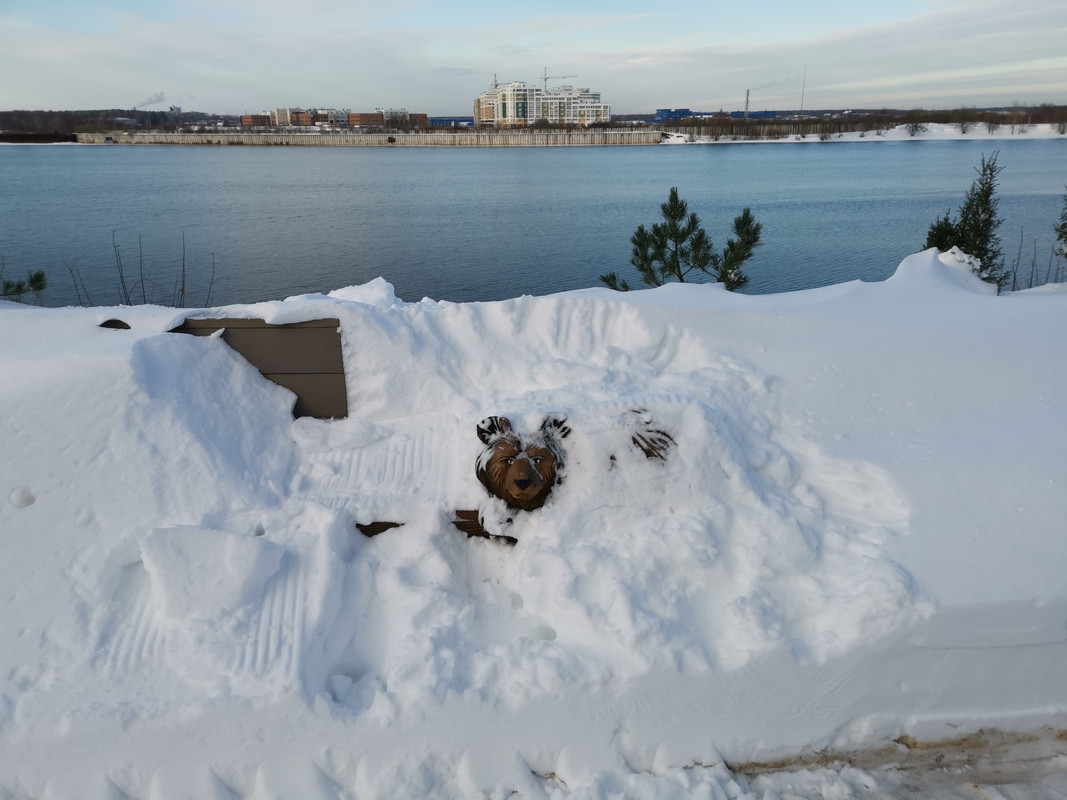 IMG_20221220_медведь высунул нос из берлоги.