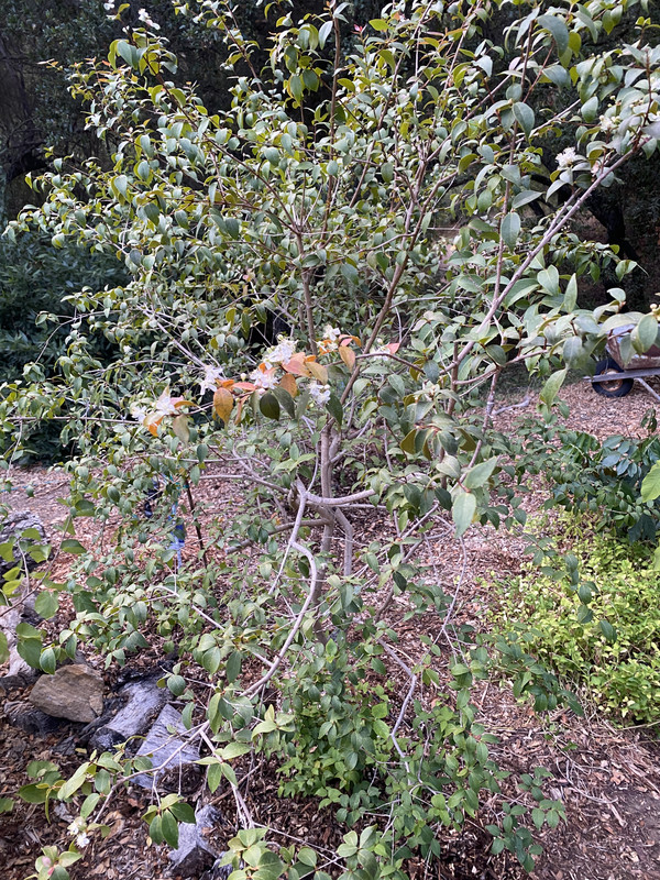 EA298D13-B985-4967-9F19-92C3F9F979B4