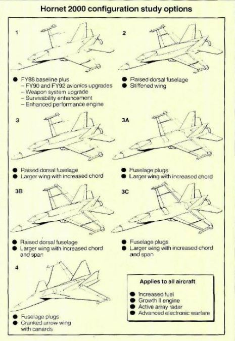 Hornet-2000.jpg
