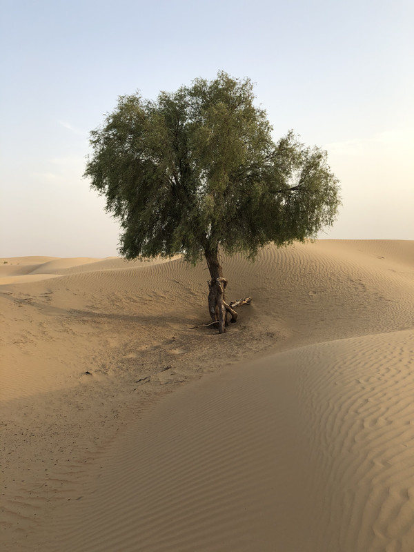 C788F9C6-26F8-4538-BAE2-51A80BE7BD0F