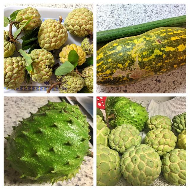 [Image: 20191014-092523-COLLAGE.jpg]