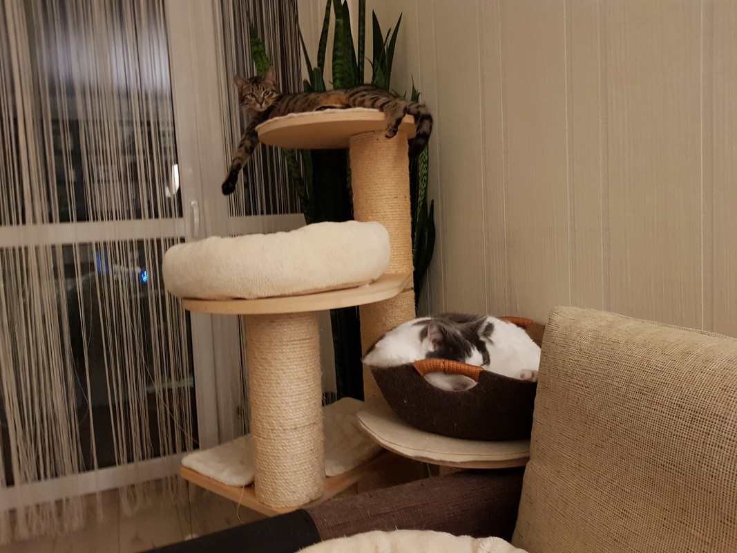 20190304-214343.jpg