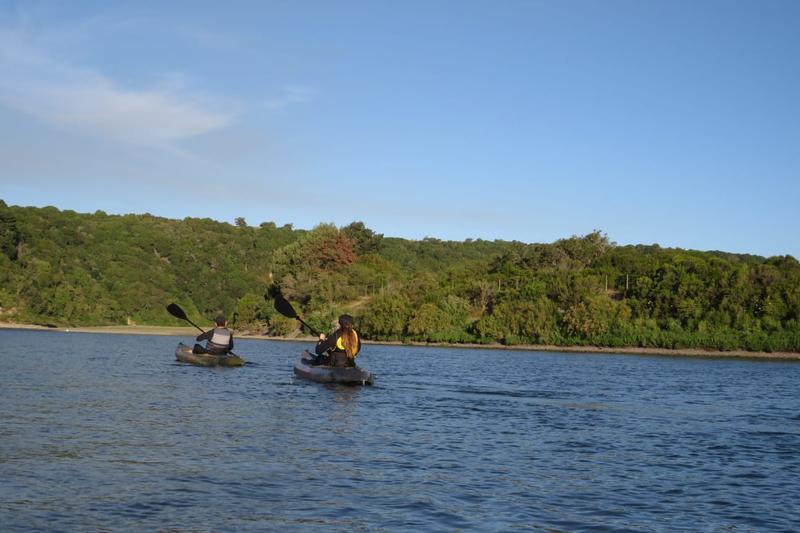 Kayakistas navegando el río Rapel bajo el cielo despejado