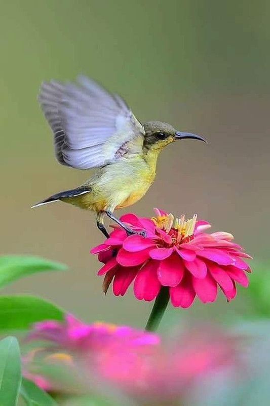 [Image: f0e3fc3425557c6753fc66681abeb35e.jpg]