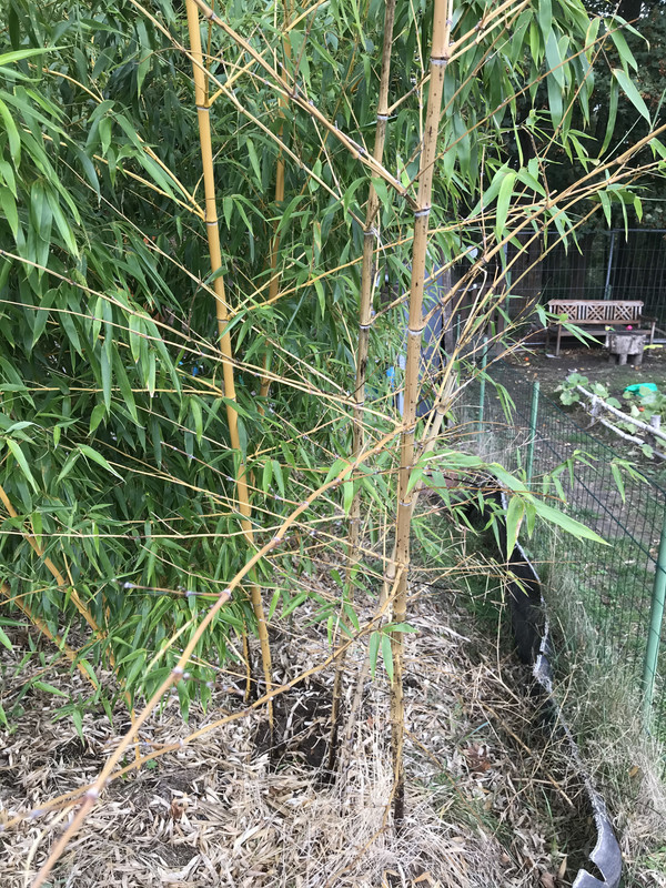 2C100700-F153-4305-B38E-0B38BA9410E2