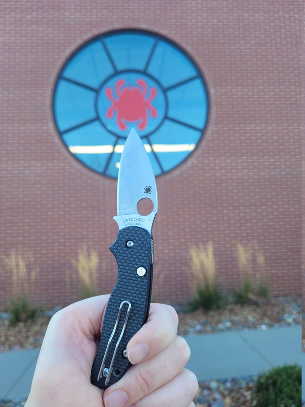 Spyderco Sage 6 46