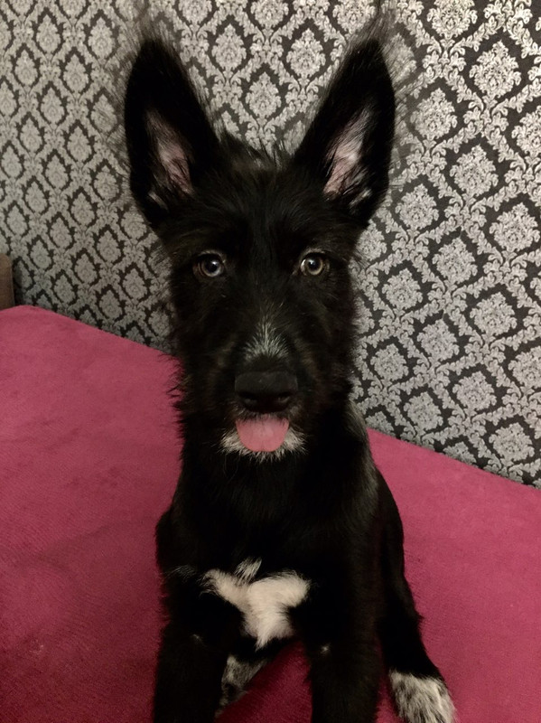 0E61B133-7466-4DFC-A418-180A68D48DC1