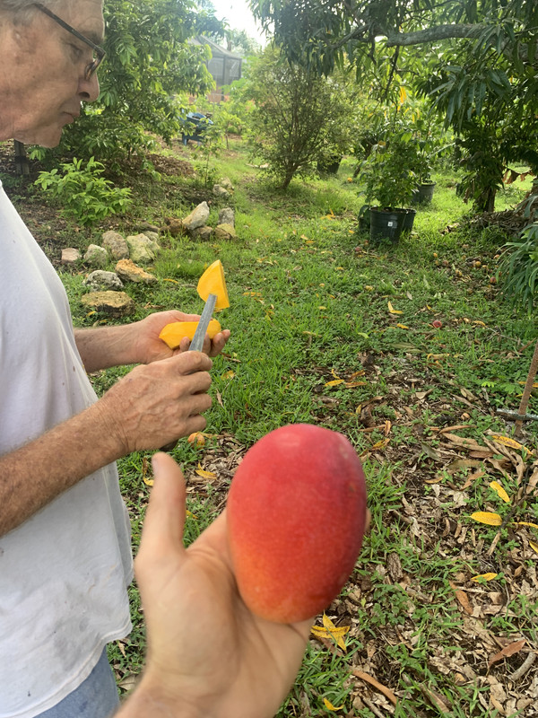 AB20F6DE-3789-4534-9125-210C6AF53D93