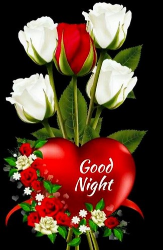 61-good-night