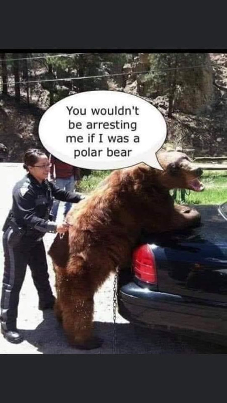 390A2E88-DC92-49D6-8A0B-774F4D7D456F