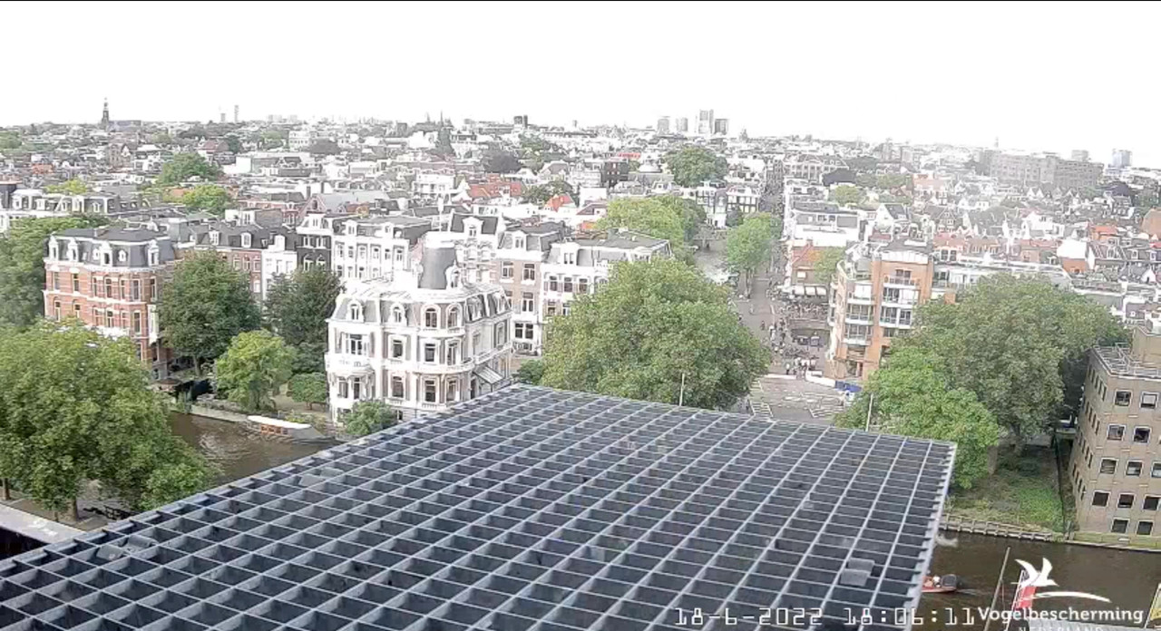 Amsterdam/Rijksmuseum screenshots © Beleef de Lente/Vogelbescherming Nederland - Pagina 29 Video-2022-06-18-180714-Moment-8