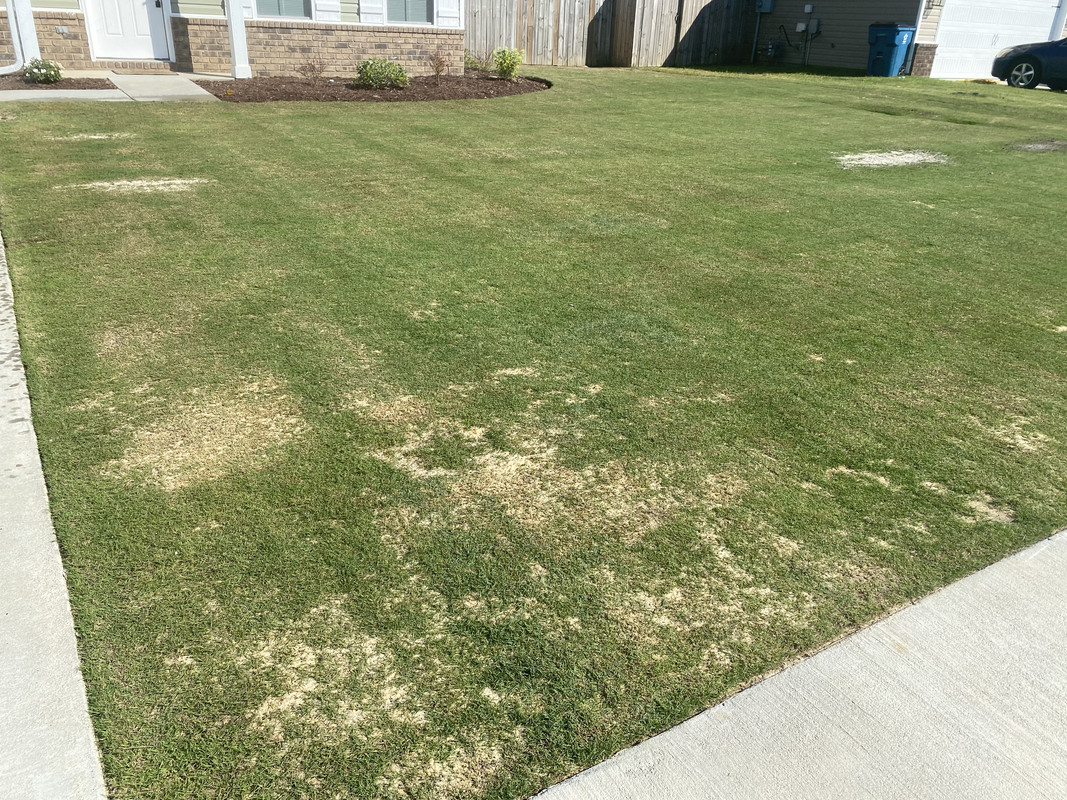 76ECC53C-7303-4BF7-9B1D-9E45CD61F89F