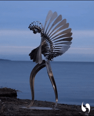 GIFs-19