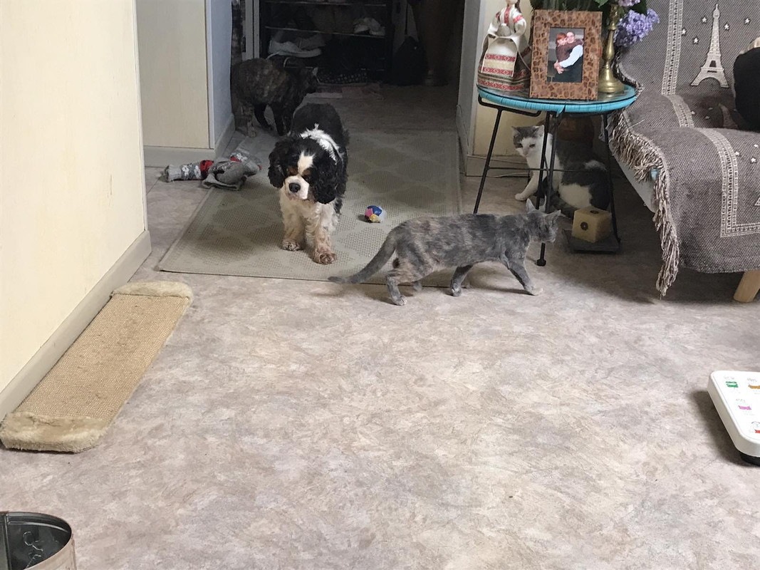 D51BDB44-9E27-4920-807F-7E8A32EAE2BE