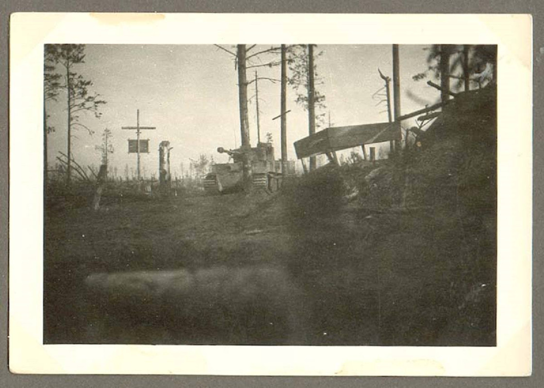 Пара фото Тигра 502-го батальона, район Ленингра