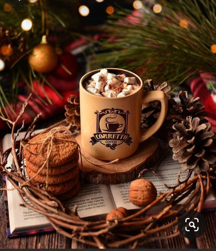 Screenshot_20231120_232430_Pinterest