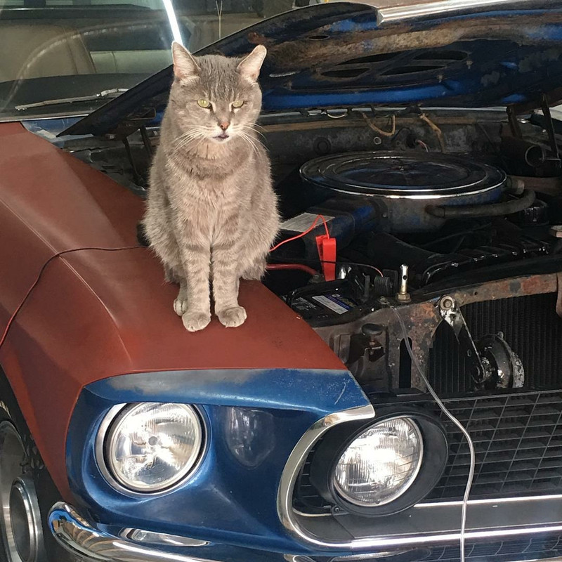 5F9809E1-8C71-4595-8F97-1E4A442A4551