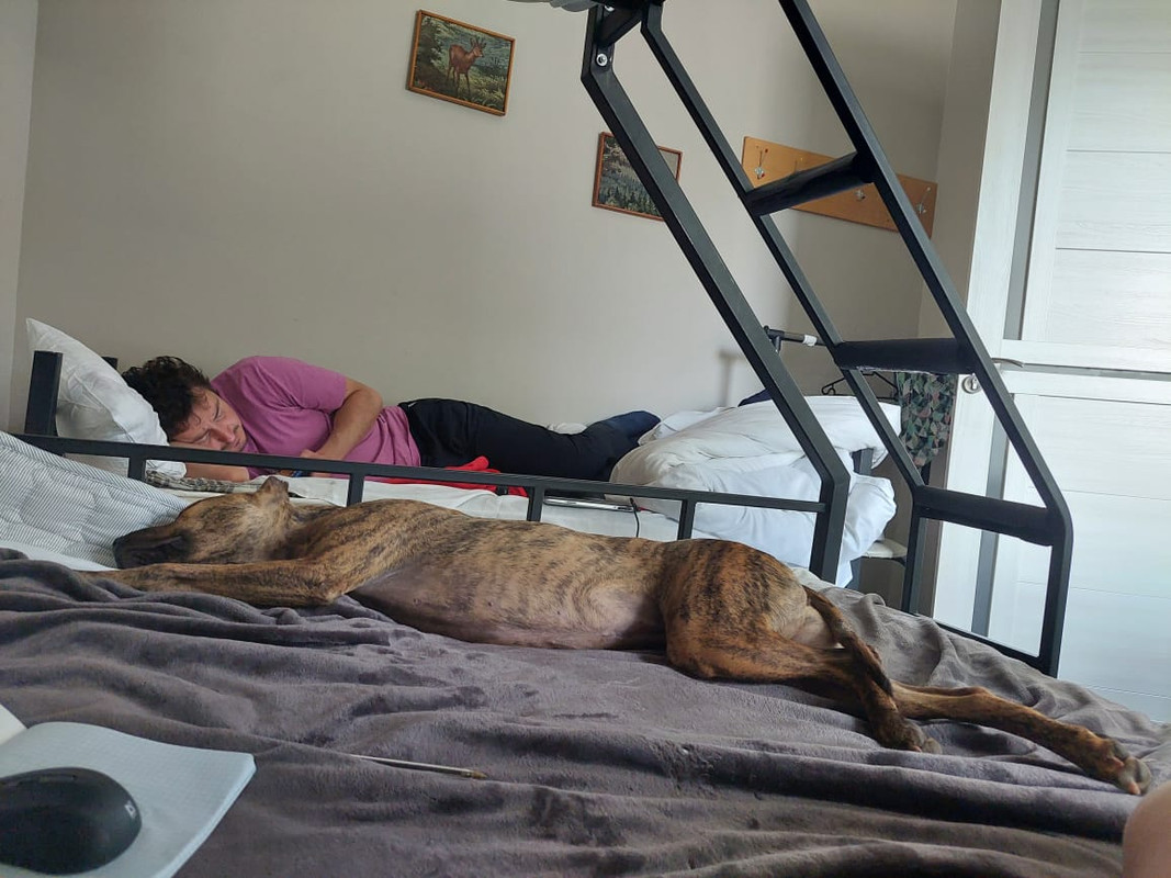 69C03D1C-1D93-4852-BF89-611FBA4B4830