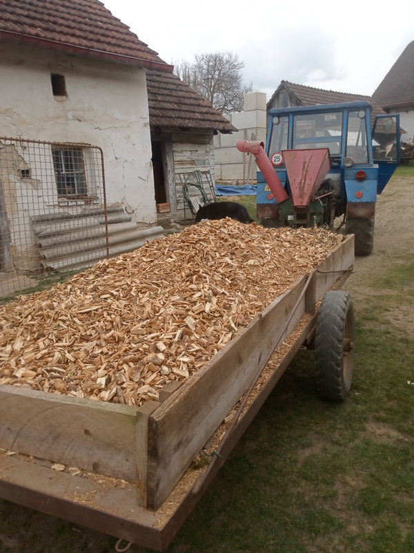 IMG_20250413_152440_152