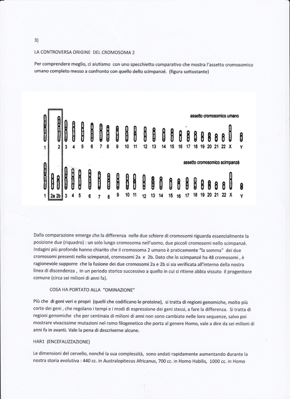 Dentro il genoma p. 3