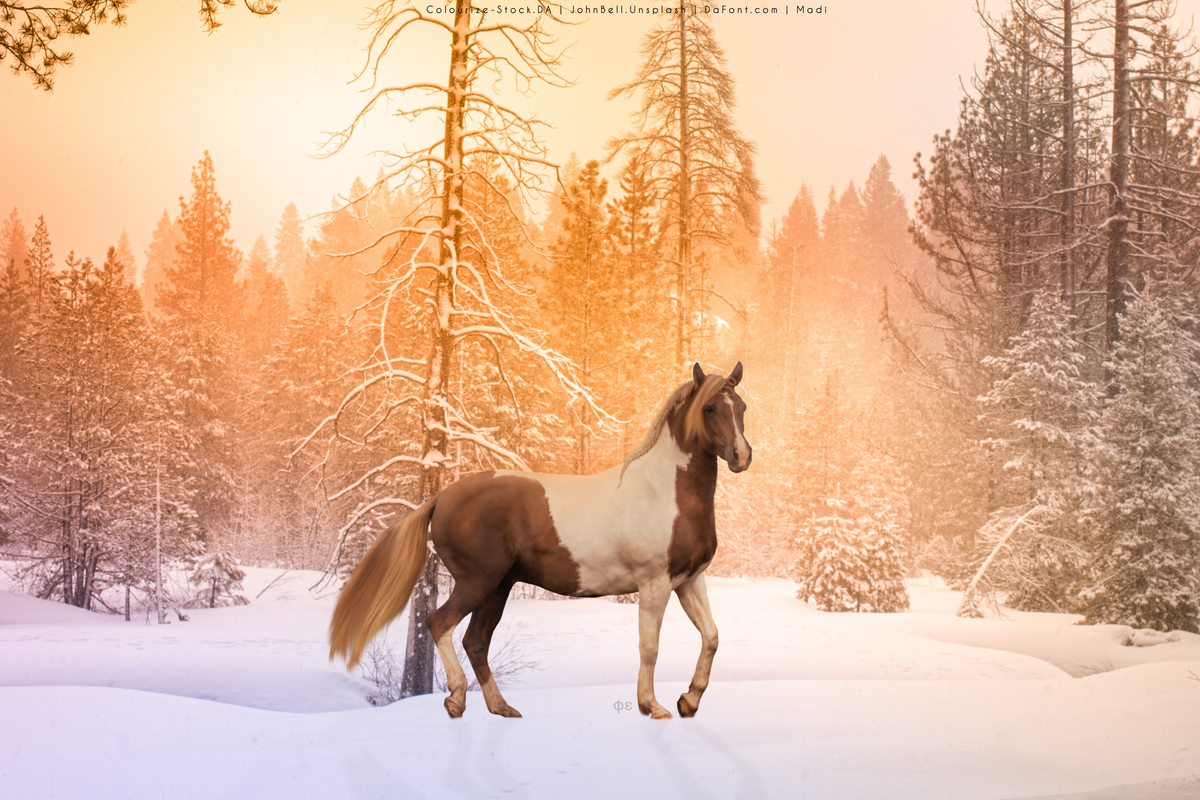 EB05FE58-C820-447B-BD19-8E3F2D4051A7