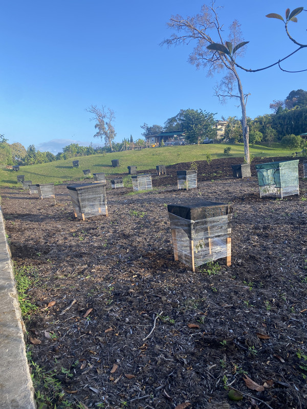 50E87F5B-29EF-4525-A70E-D476211831B8