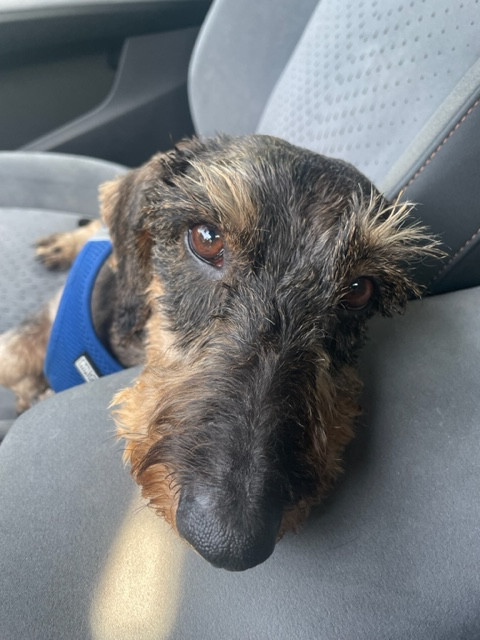 [Image: IMG-4514.jpg]