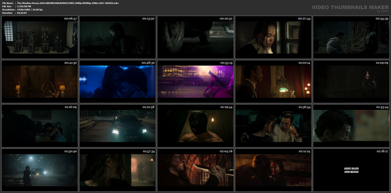 The.Shadow.Strays.2024.iNDONESiAN.NORDiCSUBS.1080p.WEBRip.10Bit.x265-SWAXX.mkv