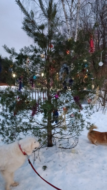 C44E0E4E-C296-42C8-A29F-4D4200C73D65